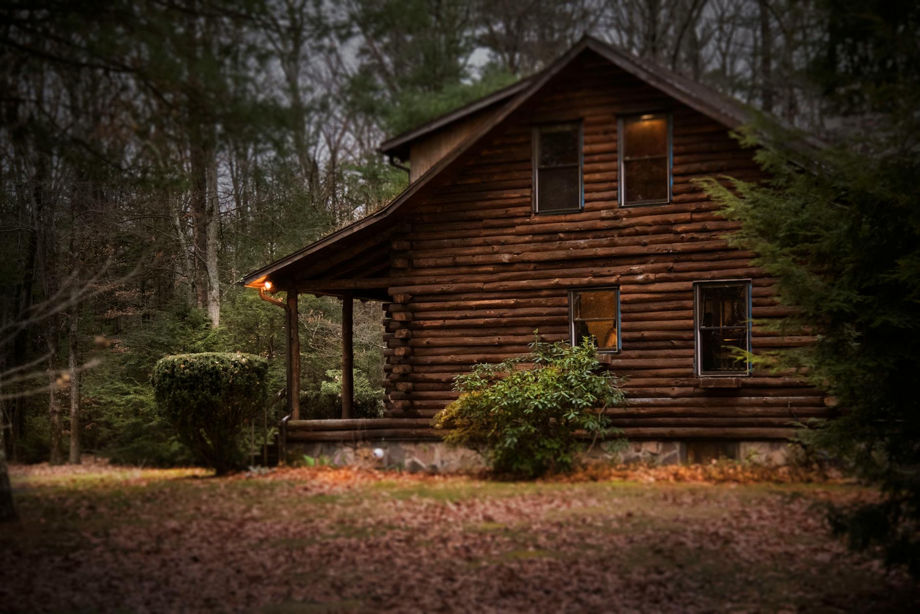 Top Secluded Cabin Stays in the UK for a Digital Detox
